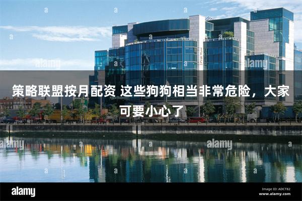 策略联盟按月配资 这些狗狗相当非常危险，大家可要小心了