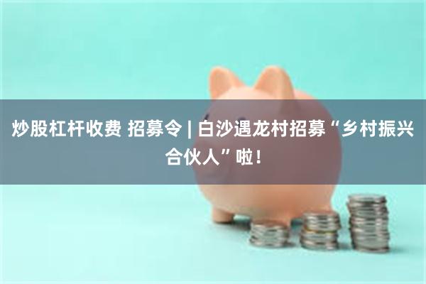 炒股杠杆收费 招募令 | 白沙遇龙村招募“乡村振兴合伙人”啦！