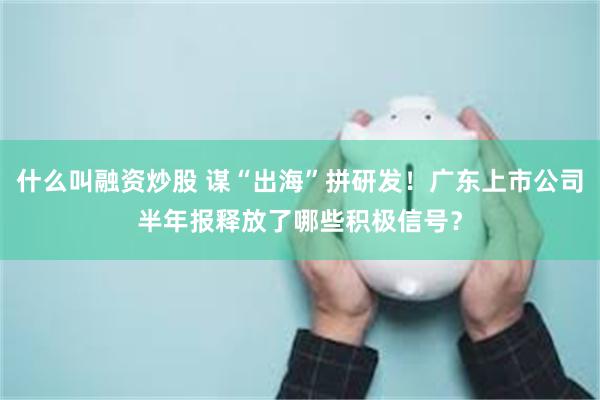 什么叫融资炒股 谋“出海”拼研发！广东上市公司半年报释放了哪些积极信号？