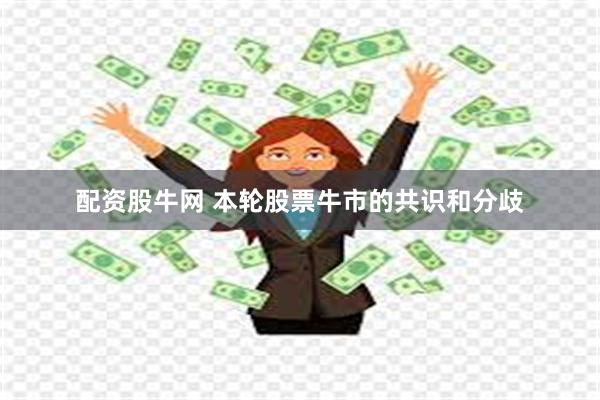 配资股牛网 本轮股票牛市的共识和分歧