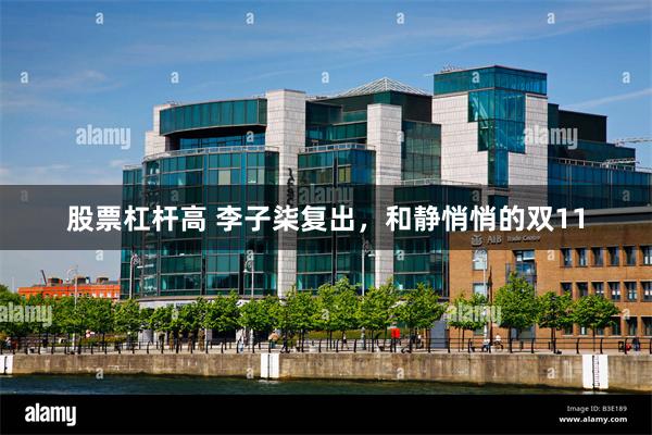 股票杠杆高 李子柒复出，和静悄悄的双11