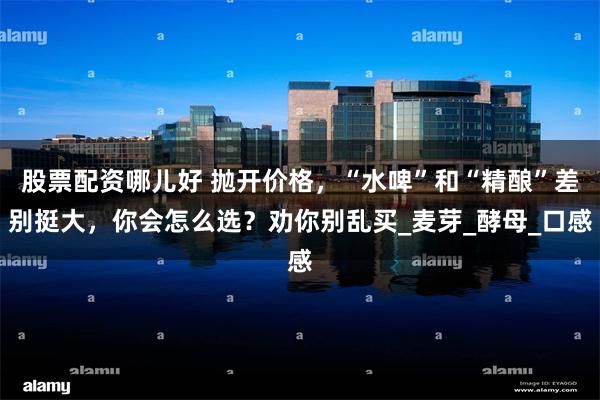 股票配资哪儿好 抛开价格，“水啤”和“精酿”差别挺大，你会怎么选？劝你别乱买_麦芽_酵母_口感
