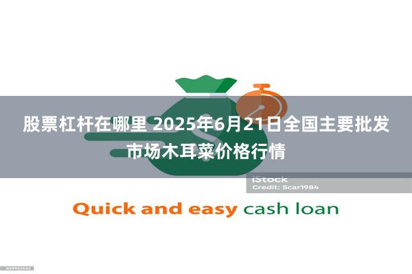 股票杠杆在哪里 2025年6月21日全国主要批发市场木耳菜价格行情