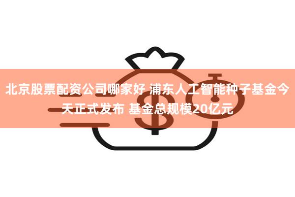 北京股票配资公司哪家好 浦东人工智能种子基金今天正式发布 基金总规模20亿元