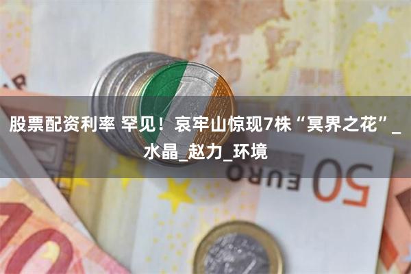 股票配资利率 罕见！哀牢山惊现7株“冥界之花”_水晶_赵力_环境