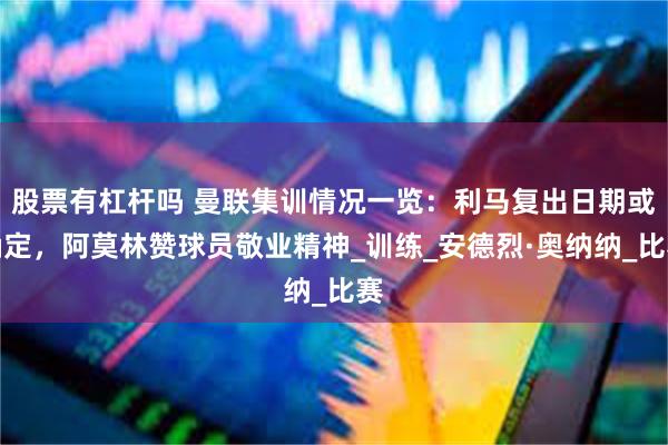 股票有杠杆吗 曼联集训情况一览：利马复出日期或确定，阿莫林赞球员敬业精神_训练_安德烈·奥纳纳_比赛