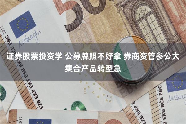 证券股票投资学 公募牌照不好拿 券商资管参公大集合产品转型急